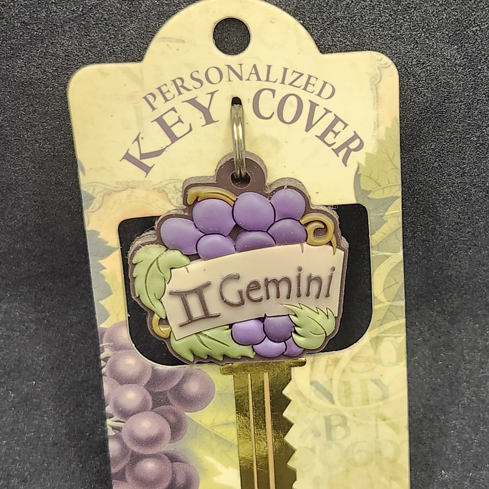 Gemini Key Cover